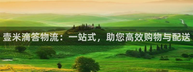 多多28电子：壹米滴答物流：一站式，