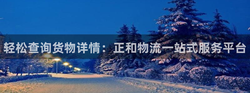 多多28软件是什么：轻松查询货物详情
