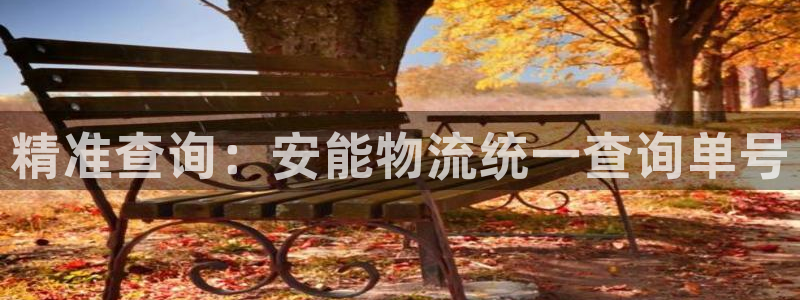 多多28图片：精准查询：安能物流统一