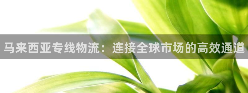 多多28怎么下载不了