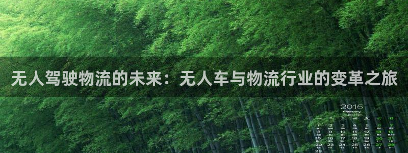 多多28软件：无人驾驶物流的未来：无