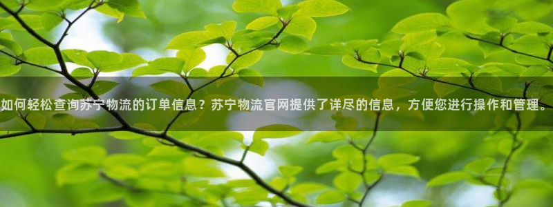 多多28预测加拿大：如何轻松查询苏宁