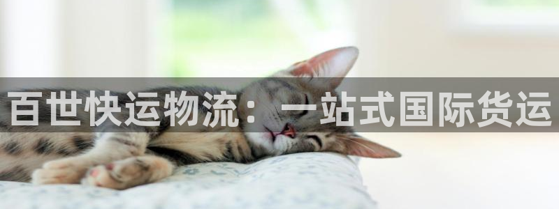 多多28流水怎么算