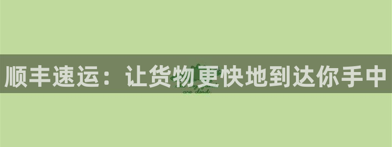 多多28大舞台：顺丰速运：让货物更快