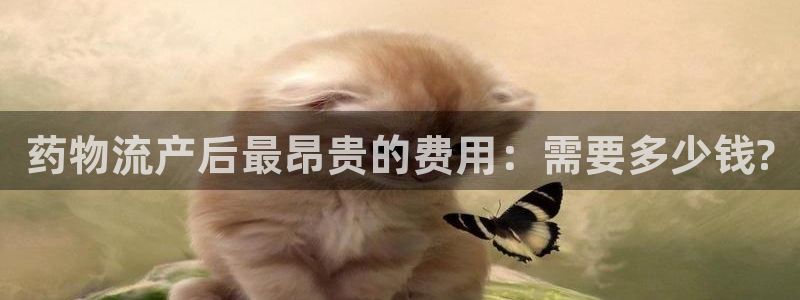 多多28初始资金密码是什么：药物流产