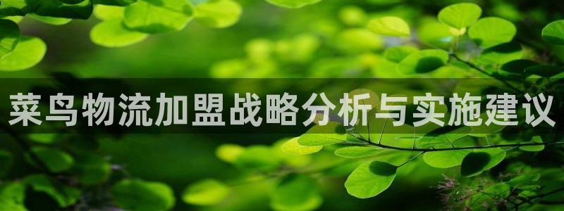 多多28注册号：菜鸟物流加盟战略分析