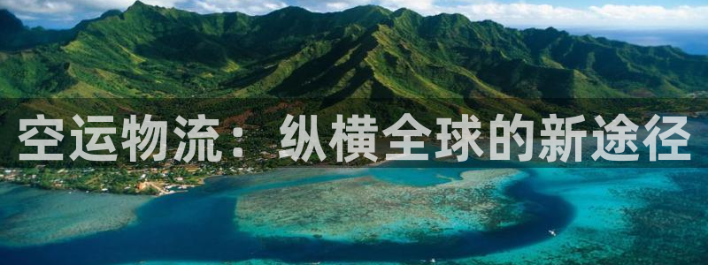 多多28取保：空运物流：纵横全球的新