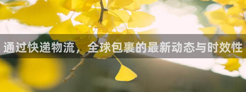 多多28链接来一个：通过快递物流，全
