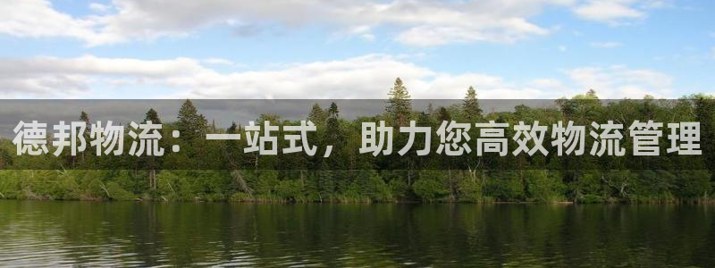 多多28预测：德邦物流：一站式，助力