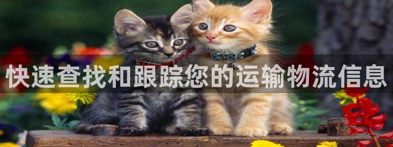 多多28官网平台下载：快速查找和跟踪