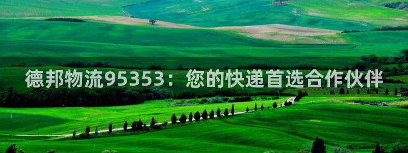 多多28官网预测：德邦物流95353