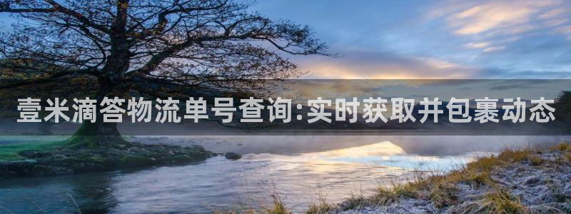 多多28为什么打不开：壹米滴答物流单