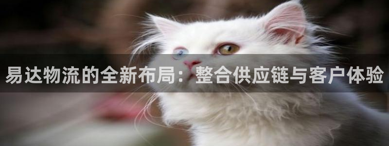 多多28比特28真实吗：易达物流的全