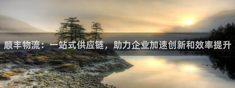 多多28注册网址：顺丰物流：一站式供