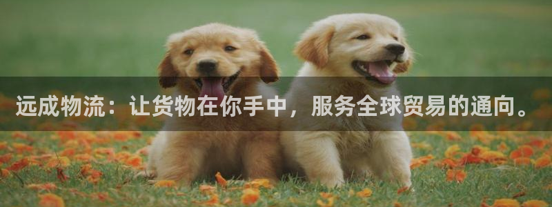 多多28可以退款吗：远成物流：让货物