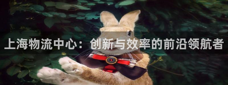 多多28充值不处理怎么办：上海物流中