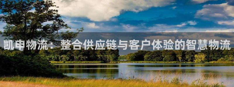 多多28新用户怎么注册：凯申物流：整