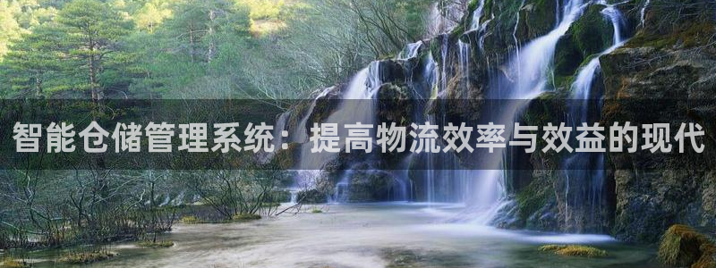 多多28官网预测：智能仓储管理系统：