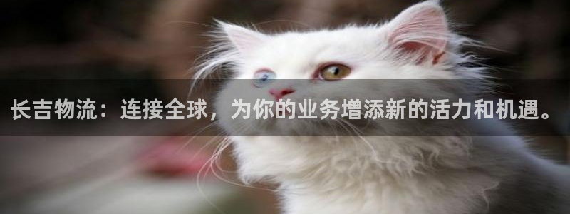 多多28注册步骤：长吉物流：连接全球