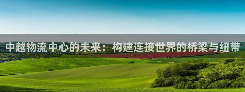 多多28官方网站
