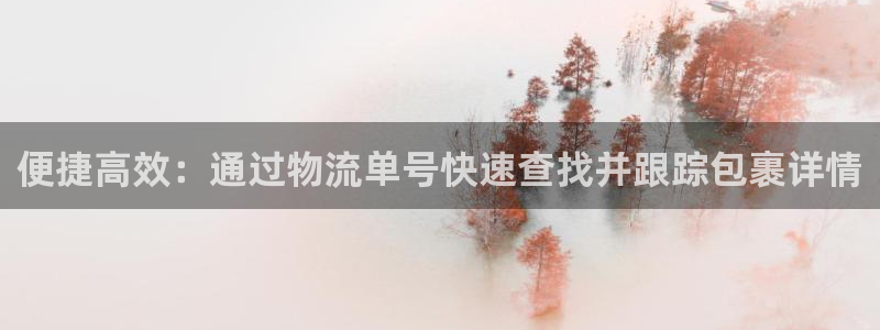 多多28现在狂杀：便捷高效：通过物流