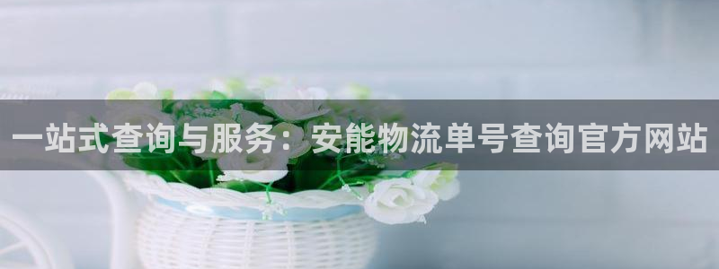 多多28是干嘛的：一站式查询与服务：