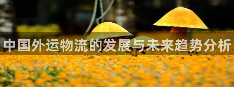 多多28图片：中国外运物流的发展与未