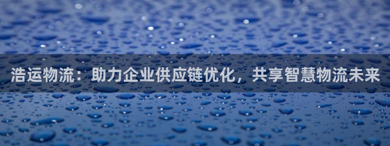 多多28网站平台是多少：浩运物流：助