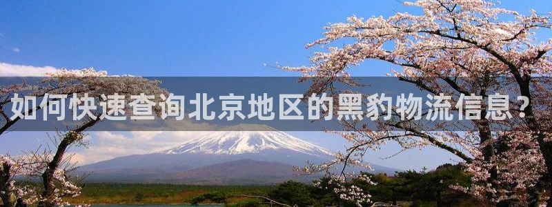 多多28注册用户名是什么：如何快速查询北京地区的黑豹物流信息