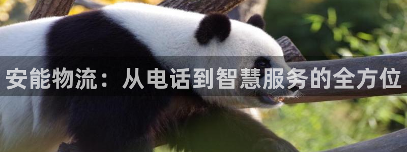 多多28初始密码在哪里修改：安能物流