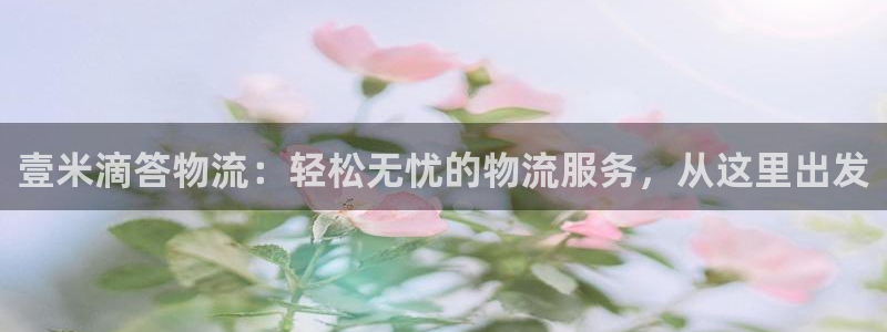 多多28激活码：壹米滴答物流：轻松无