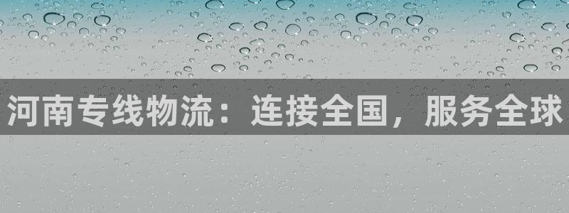 多多28官方网站:河南专线物流:连接