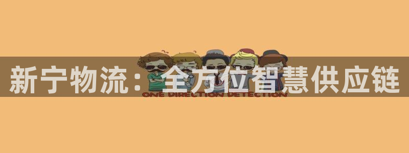 多多28加拿大28：新宁物流：全方位