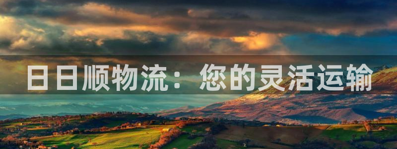 多多28官网版所有版本:日日顺物流: