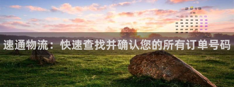 多多28ip被限制怎么解决:速通物流