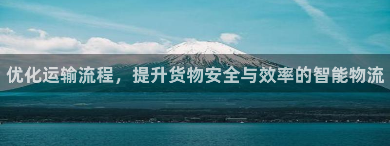 多多28犯法吗：优化运输流程，提升货