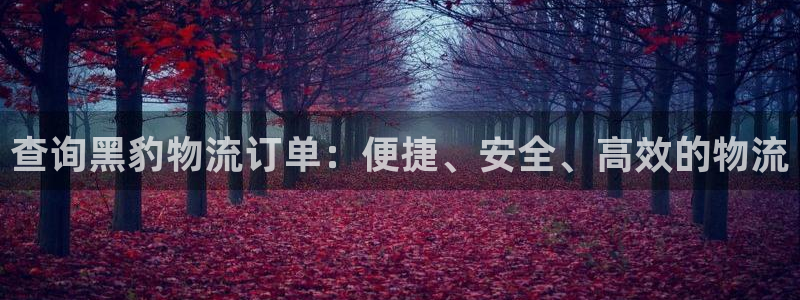 多多28注册问一问：查询黑豹物流订单
